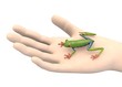 3d render of hand with frog