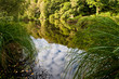 Spring river Spring river