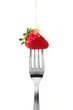 strawberry and honey - fragola e miele