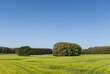 Sommerlandschaft