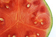 Foto: Wassermelone Wassermelone