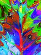 Foglia-Astratto Psichedelico e Gocce-Psychedelic Leaf and Due
