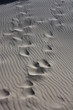 Sandfly Bay