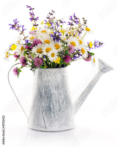 Foto: wildflowers wildflowers