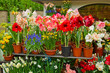 flower shop