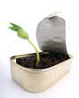 Distorted image of a fresh plant growing in  garbage can