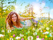 Mädchen liegt entspannt in einer Blumenwiese / dandelion-8
