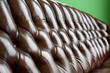 Leder Dekoration | Edel Sofa | Reichtum