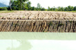 Soil erosion due to overgrazing leading