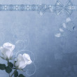 Roses on  blue
