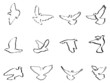 shape of pigeons and doves