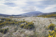 County Wicklow mountains