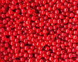 red currant