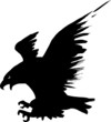 Eagle Flying