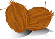 two coconuts isolated on white background