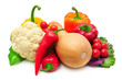 collection vegetables collection vegetables