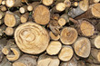 Holz Stämme