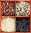 Various kinds of rice in a box Various kinds of rice in a box