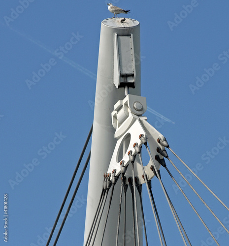 Photo: gull and steel gull and steel