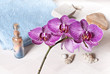 orchid