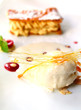 Melting vanilla ice cream with baked biscuit Melting vanilla ice cream with baked biscuit