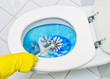 Foto: Reinigen der Toilette Reinigen der Toilette