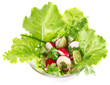 salad of fresh vegetable and greenery