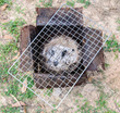Metal grate