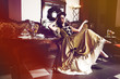 Miss Barock