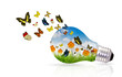 Light bulb and fresh spring green grass with butterfly