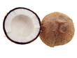 coconut