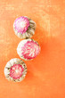 floral blooming  tea balls on orange backdrop