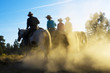 Evening Ride