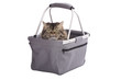 Cat sitting in shopping basket