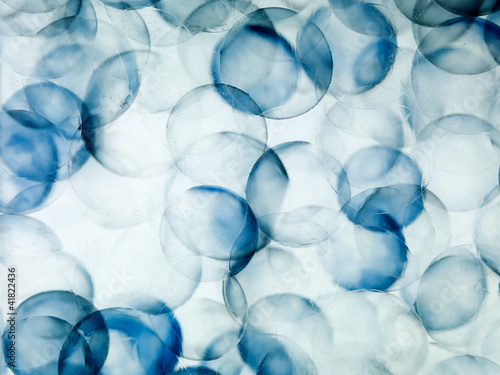 Foto: cells with blue border transparent underwater cells with blue border transparent underwater