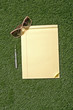 Blank Paper On Grass