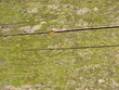 Hintergrund
