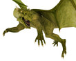 green dragon in action closer