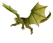 green dragon in action