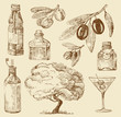 set doodle olive oil