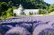 Senanque abbey with lavender field, Provence, France Senanque abbey with lavender field, Provence, France