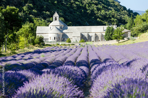 Foto: Senanque abbey with lavender field, Provence, France Senanque abbey with lavender field, Provence, France