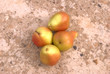 pere