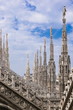 Guglie del Duomo di Milano