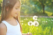 Summer dreams
