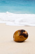 coconut on beach
