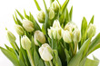 nice tulips