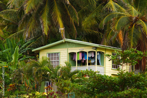Photo: house in tropical forest house in tropical forest