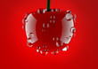 Fresh red cherry