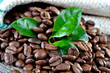 Wohlriechende Arabica-Kaffebohnen